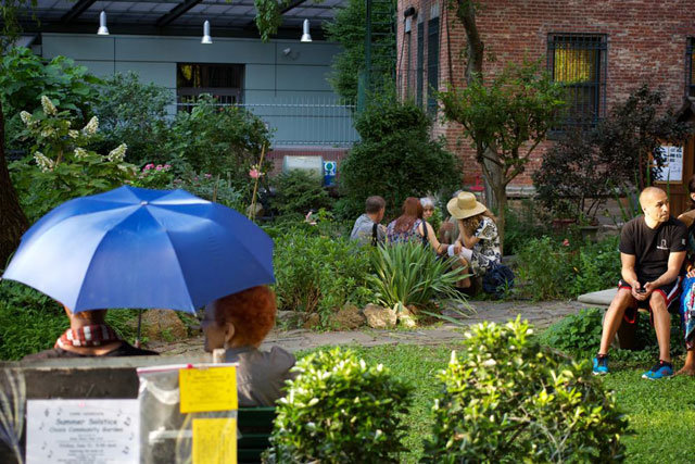 Visitors enjoying the Oasis Community Garden