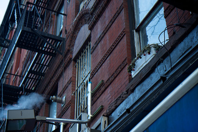 Dead flowers in a window planter