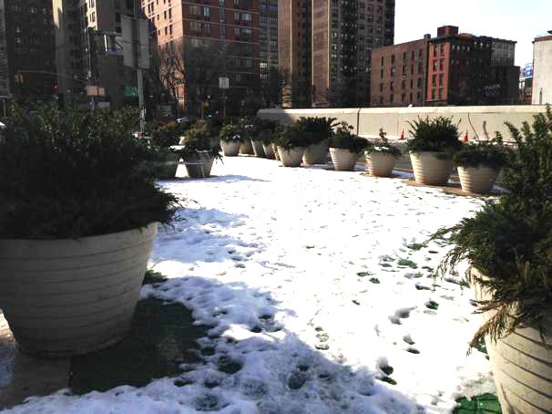 The new planters at Dyer Triangle